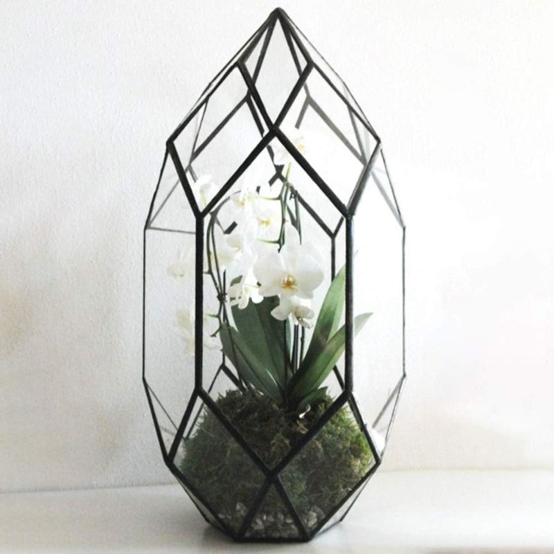 Photo 1 of 10" Large Glass Terrarium Irregular Geometric Planter Indoor Air Plants Holder Window Balcony Display Succulent Flower Pot, Black