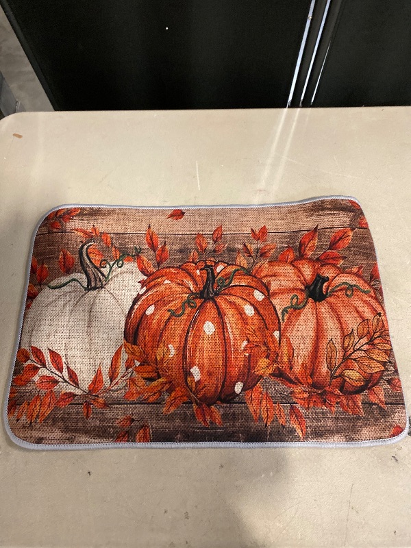 Photo 1 of 22"  Pumpkin Fall Kitchen Non-slip Table Mat 