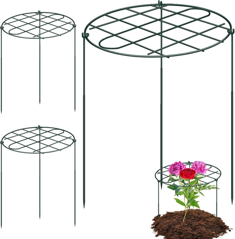 View 1 of 3 Pack 24 x 29.5 Inch Peony Cages and Supports Grow Through Plant Grid Support,Metal Plant Brace Support Peony Rings Hoops for Outdoor Plants Vegetables,Rose,Tomato,Orchids