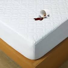 Photo 1 of Hypoallergenic Queen Quilted Fitted Sheet