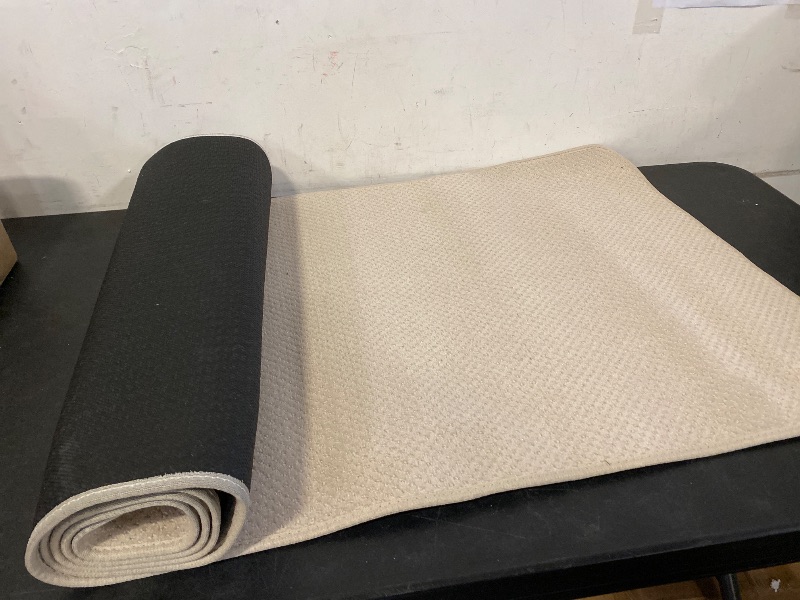 Photo 1 of Bath Mat,Ultra Thin Bathroom Runner Rugs,Large Bath Mats for Bathroom,Quick Dry,Non-Slip,Machine Washable,Low Pile,Bath Rug,Shower Outside,Sink,Home Decor Accessories.Cream,2'x8'(24x96inch)