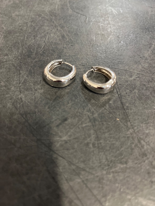 Photo 1 of Accents Kingdom Titanium Huggie Hoop Earrings