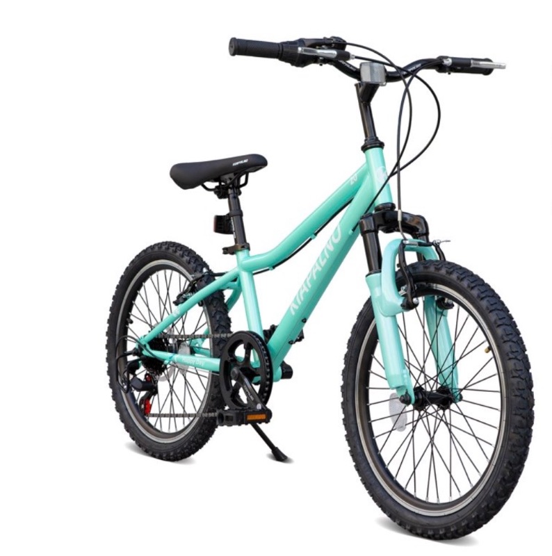 Photo 1 of 20 Inch Mountain Bike, 7-Speed Dual-Suspension Mountain Bicycle with Sturdy Steel Frame, Green