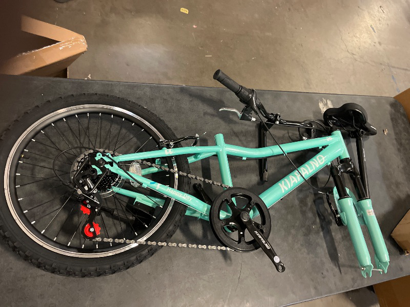 Photo 1 of 20 Inch Mountain Bike, 7-Speed Dual-Suspension Mountain Bicycle with Sturdy Steel Frame, Green