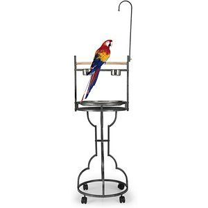 Photo 1 of 72 in. H Parrot Stand Large Bird Playstand Feeder Perch