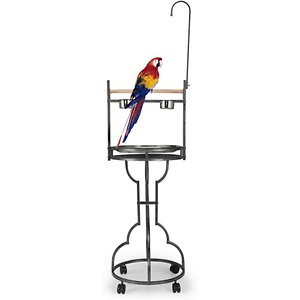 Photo 1 of 72 in. H Parrot Stand Large Bird Playstand Feeder Perch