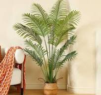 Photo 1 of Artificial Areca Palm Plants 5.9 Ft Fake Palm Tree with 20 Trunks in Pot with Woven Basket Faux Dypsis Lutescens Plant for Home Indoor Office Modern Decor Perfect Housewarming Gift Green
