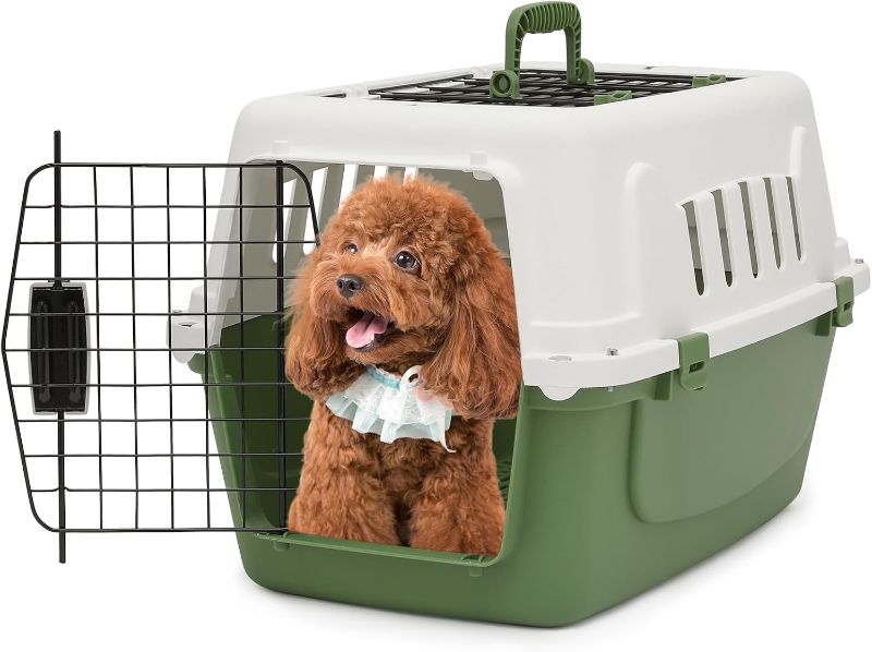 Photo 1 of 22-Inch Dog Crate Plastic 2-Door Top Loading Cat Carrier, Hard-Sided Dog Travel Carrier for Small Dogs and Cats, Ventilation and Security Lock Design for Pets up to 22 lbs (Green)