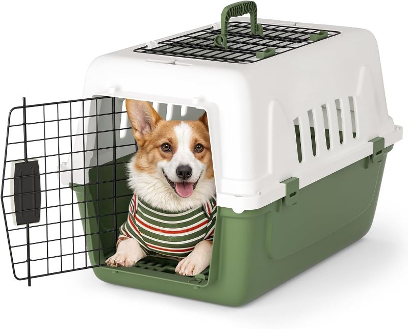 Photo 1 of 22 Inch Hard-Sided Dog Cat Carrier, Green | Top and Front Door Access, Plastic Dog Kennel for Longer Traveling, Durable Handle and 4 Sides Ventilation, For Pet Up 26 lbs
