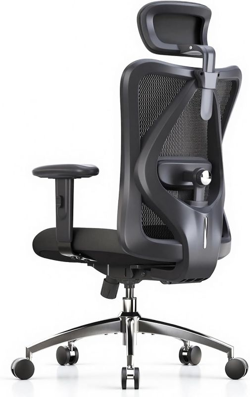 Photo 1 of SIHOO M18 Ergonomic Office Chair, Mesh Back Desk Chair with Headrest
