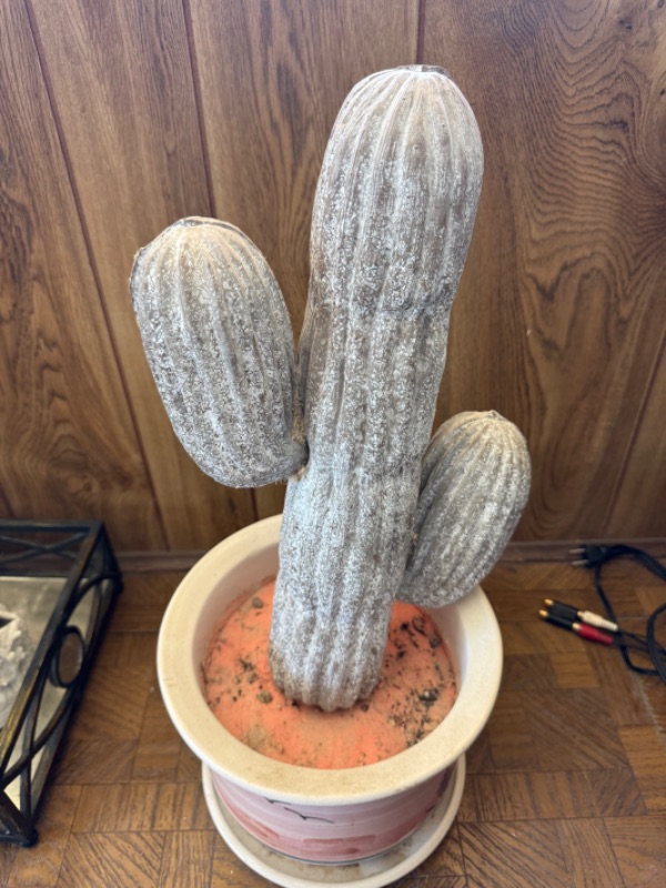 Photo 1 of FAUX CACTUS IN DESERT SCENE POT