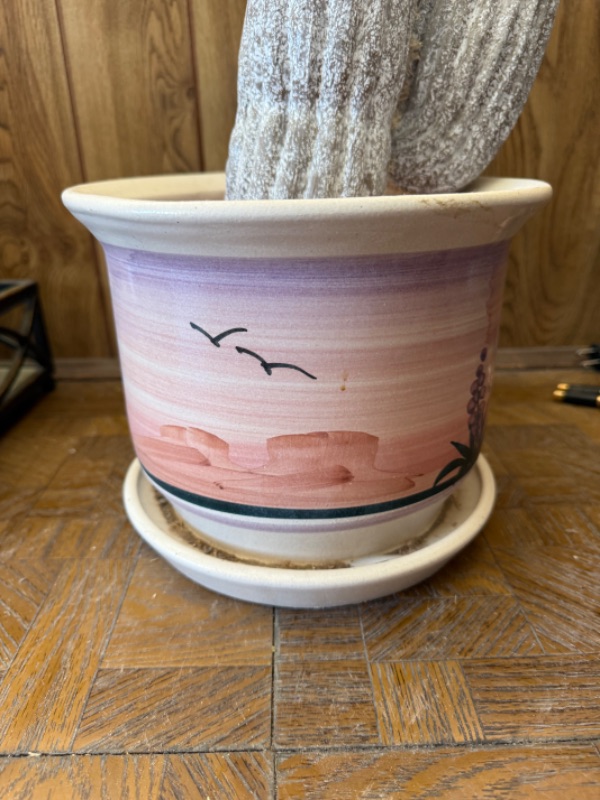 Photo 1 of FAUX CACTUS IN DESERT SCENE POT