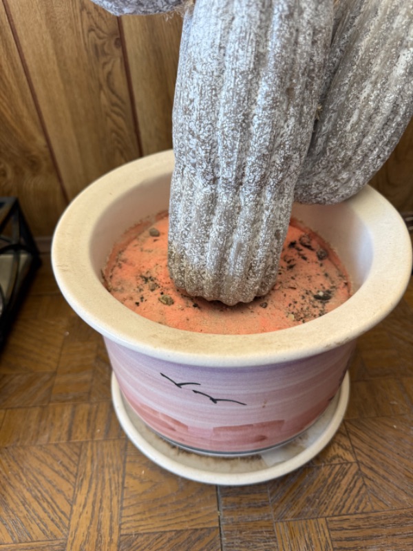 Photo 1 of FAUX CACTUS IN DESERT SCENE POT