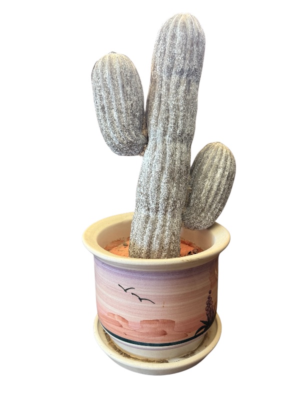 Photo 1 of FAUX CACTUS IN DESERT SCENE POT
