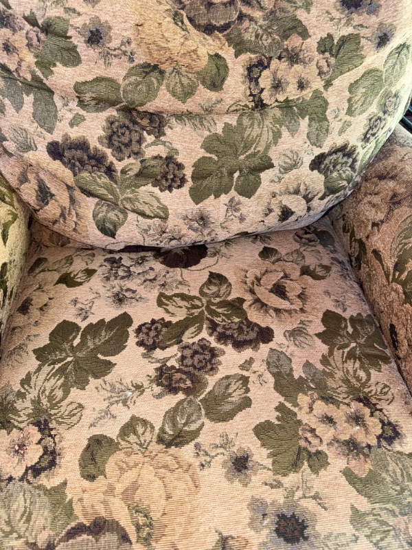 Photo 1 of GREEN LEAF FABRIC CHAISE LOUNGE CHAIR L 5’