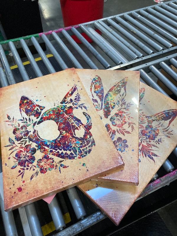 Photo 1 of **** PHOTO FOR REFERNCE ***** KREATIVE ARTS 3 Piece Veterinary Skull Wall Art with Black Frame Dog Cat Rabbit Head Anatomy Prints Minimalist Vintage Decor for Vet Office Animal Dentistry Clinic Each 24x16 Inch Ready to Hang