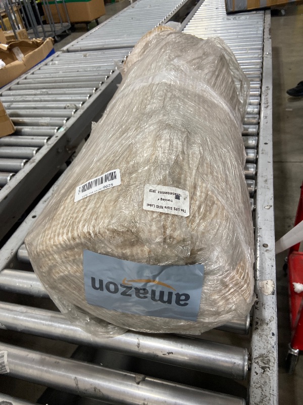 Photo 1 of Loloi Chris Loves Julia Rue Collection RUE-01 Wheat/Sage 8'-6" x 11'-6" Area Rug Jute Neutral Floral Living Room Bedroom Rug