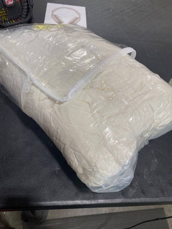 Photo 1 of FLYMME Ivory Queen Comforter Set,Boho Soft Warm Tufted Neutral Bed in a Bag,Lightweight Fluffy All Seasons Bedding with Botanical Palm Leaf Pattern,3 Pieces (Comforter&2 Shams)