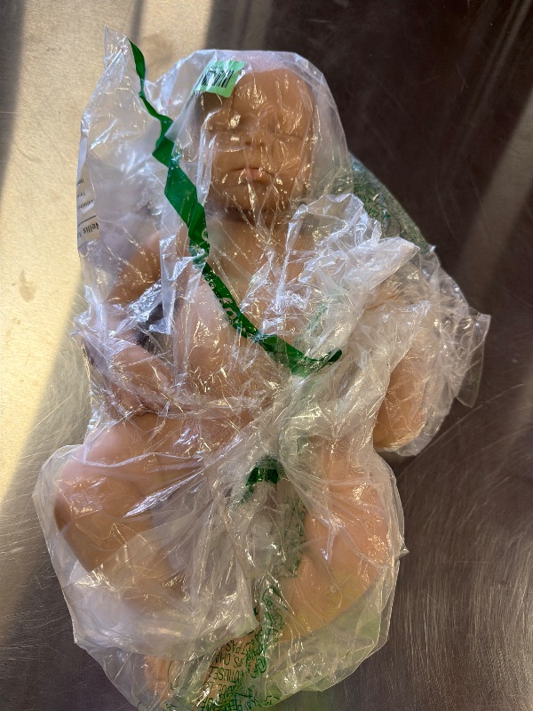 Photo 1 of OCSDOLL 21 Inch 9 Lbs Maddie Girl Full Body Platinum Soft Silicone Reborn Doll - Realistic Lifelike Newborn Girl Doll Can Open Mouth Anatomically Correct Weighted Babies