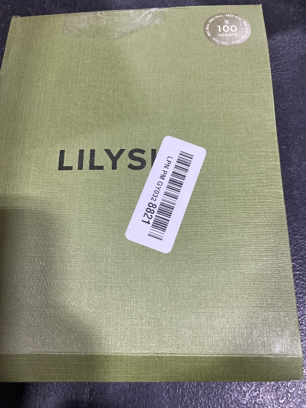Photo 1 of LILYSILK 100% Silk Pillowcase 1PC 25MM Pure Bed Pillowcase for Hair & Skin Oxford Envelope Double-Sides Charmeuse Silk,Ivory Standard 20x26 inches