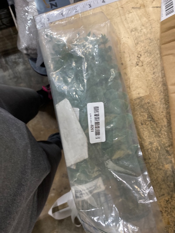 Photo 1 of 20pcs Eucalyptus Stems Artificial Eucalyptus Leaves Stems Artificial Fake Flowers for Home Office Flowers Bouquet Centerpiece Wedding Decoration Christmas Decor 2025