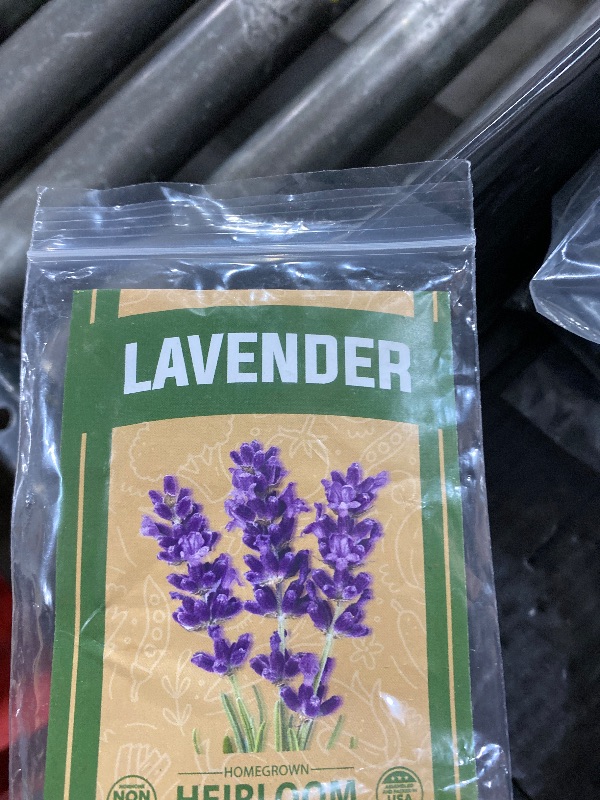 Photo 1 of HOME GROWN ??? ??????? English Lavender Seeds 1,500+ ???-??? Wildflower Seed for Planting Indoor/Outdoor, High Germination, Plant Flower Seeds (Lavandula antustifolia)