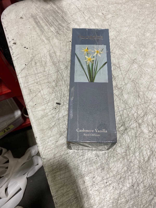 Photo 1 of Cocorrína Premium Reed Diffuser Set with Preserved Baby's Breath & Cotton Stick Cashmere Vanilla | 6.7 fl oz Scent Fragrance Oil Diffuser for Bedroom Bathroom Home Décor