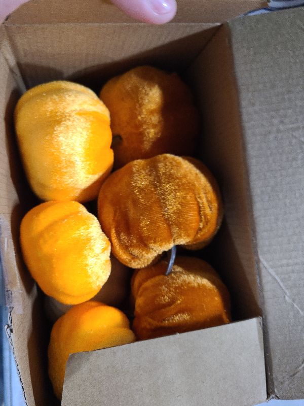 Photo 1 of 12 Assorted Velvet Pumpkins for Decorating, Fall & Thanksgiving Decor