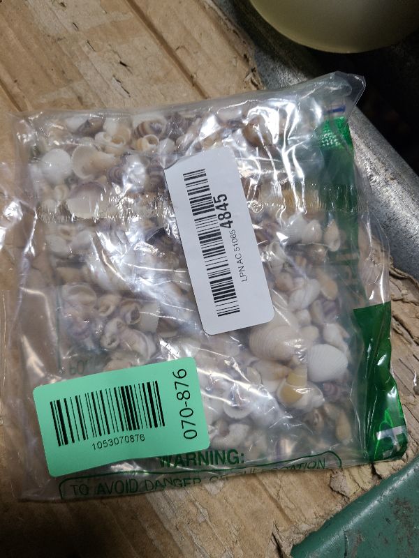 Photo 1 of 1200 PCS Tiny Sea Shells &10 Small Starfish - Mixed Ocean Beach Spiral Seashells for Fish Tank and Vase Filler, Beach Theme Party, Wedding Decor - DIY Craft Supplies