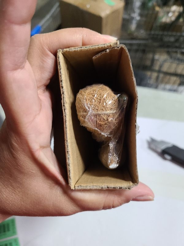 Photo 1 of 2 Pack 28'' Bendable Moss Pole Monstera Plant Support for Climbing Indoor Plants - Stakes for Potted Climbers - Tall Sticks Indoor Trellis for Houseplants - Accessories for Monstera Pot