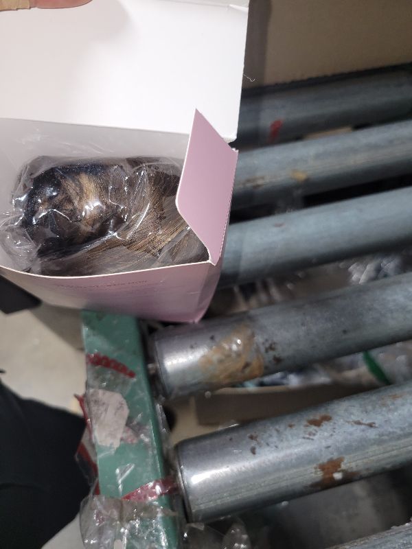 Photo 1 of 12 Inch Short Ponytail Extension - Curly Pony Tails Hair Extensions, Claw Clip Ponytail Extension, Synthetic Hair Extensions Ponytail, Clip in Ponytail (Color: Chestnut Brown With Golden Highlights)