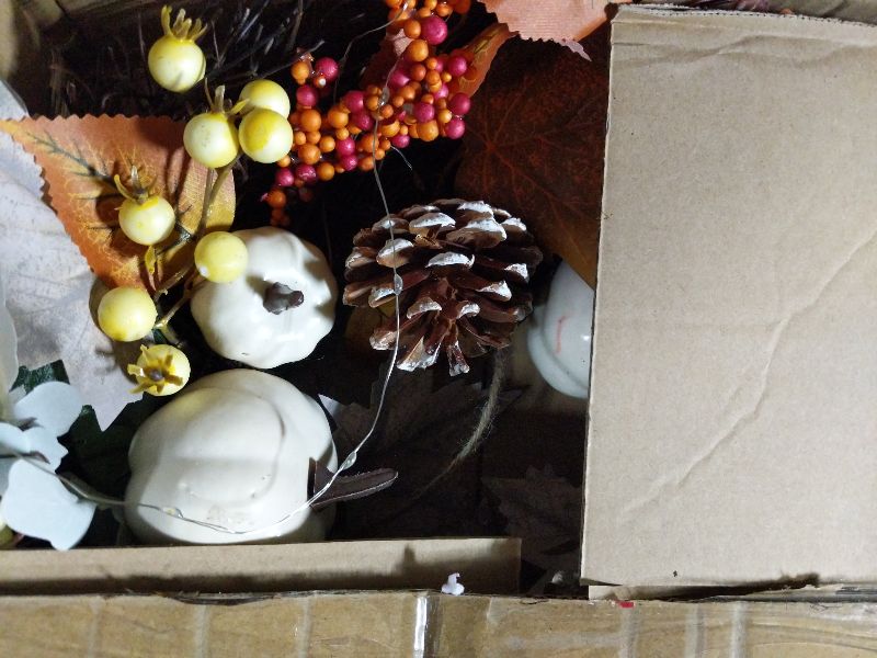 Photo 1 of 20 Inch Fall Wreath for Front Door with Light Porch Window Autumn Wreaths with Pumpkin Berries All Season Indoor Outdoor Window Decor for Harvest Thanksgiving Holiday Celebrations