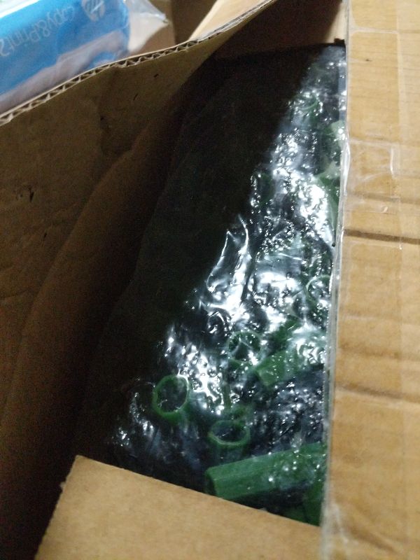 Photo 1 of 10Pcs Plant Support Stakes for Indoor Plants 16 Inches with 15 Clips, Plant Sticks for Indoor and Outdoor Plants, Tall Bendable Orchid Clips and Single Stem Flower Stakes (Green)