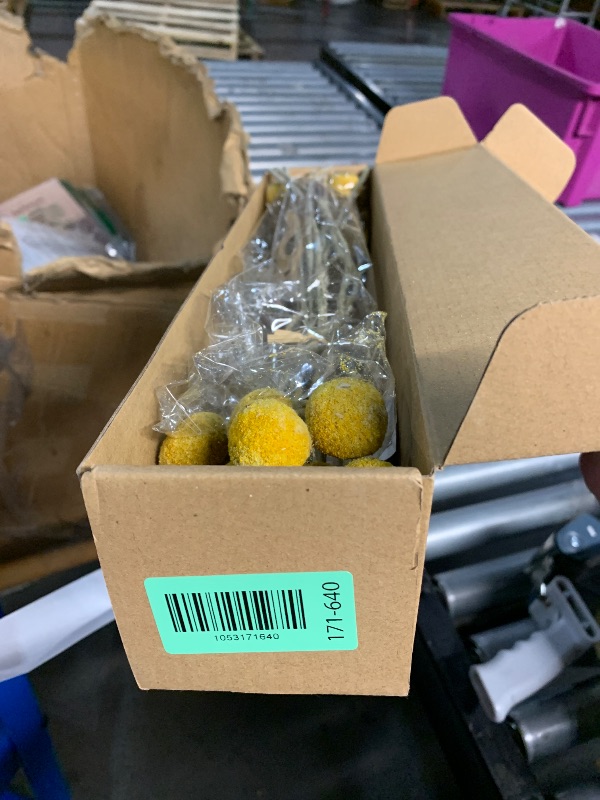 Photo 1 of (PARTIAL SET) Uieke 30Pcs Natural Dried Flowers Craspedia Billy Balls Flowers Billy Buttons Floral Bouquet for Flower Arrangements Wedding Home Tall Vase Decor Yellow