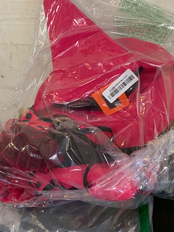 Photo 1 of Halloween Decorations