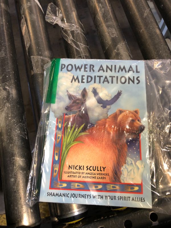 Photo 1 of Power Animal Meditations: Shamanic Journeys with Your Spirit Allies