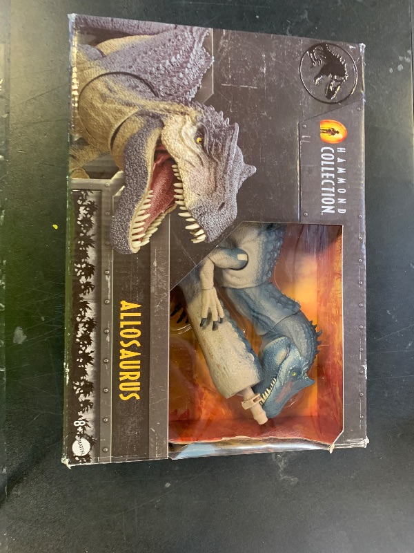 Photo 1 of Mattel Jurassic World Hammond Collection Allosaurus Dinosaur Action Figure, Premium Movie Design, Glass Eyes & Wired Tail, 19 Points of Articulation