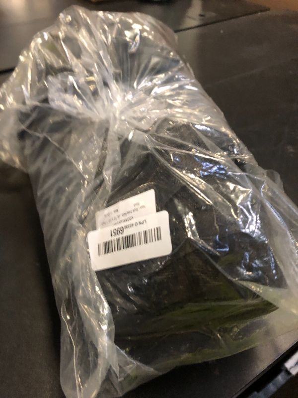 Photo 1 of Fruit Tree Netting Covers with Zipper to Protect from Squirrels and Birds Large Netting for Fruit Trees Net Protection, Black, 10' x 10', 1 Pack