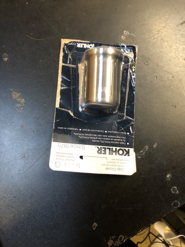 Photo 1 of KOHLER K-9111-G Air Gap Cover with Collar, Brushed Chrome