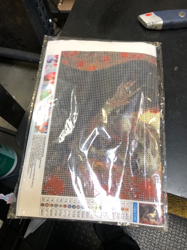 Photo 1 of Reofrey DIY Diamond Art Kits for Adults Skeleton, Couple Full Drill Round Rhinestone Diamond Painting Kits, Cross Stitch Embroidery Canvas for Crafts Home Wall Decor 30x40cm