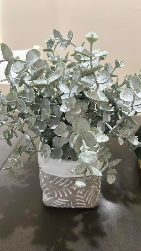 Photo 1 of 3 PC HOME DECOR (ORCHID H20”)