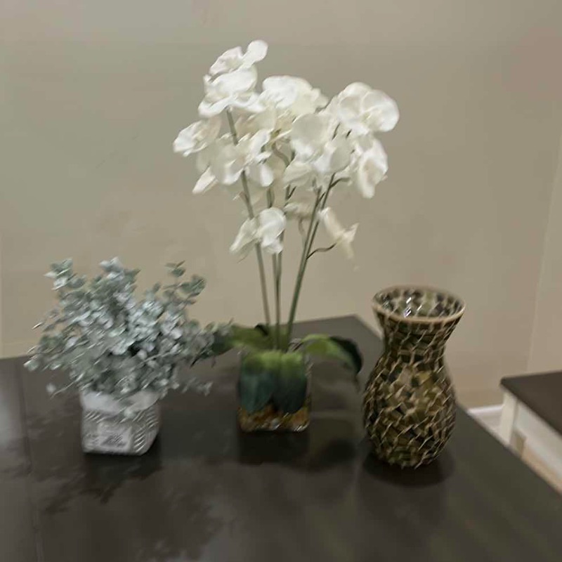 Photo 1 of 3 PC HOME DECOR (ORCHID H20”)