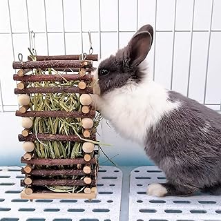 Photo 1 of 
Click to see full view






2+
Hanging Apple Wood Rabbit Hay Feeder - Guinea Pig Grass Holder with 2 Hooks Biting Resistant Small Animals Chew Toy, Feeding Hay Manager Shelf for Chinchilla Bunny Hamster Gerbil Holiday Presents