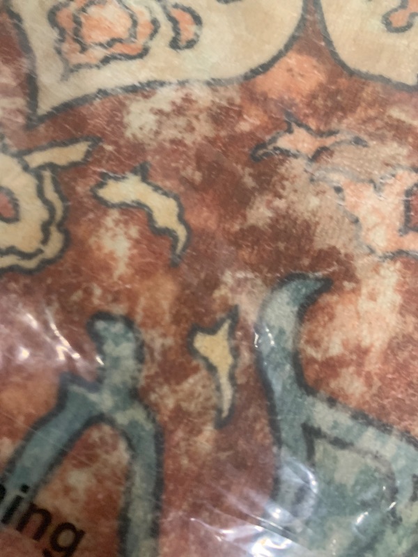 Photo 1 of Topllen Washable Area Rug - 5'x7' Boho Living Room Rug, Non-Slip Soft Rugs Indoor for Bedroom Dining Room Office, Vintage Throw Large Carpet Stain Resistance (Rust, 5x7ft)
