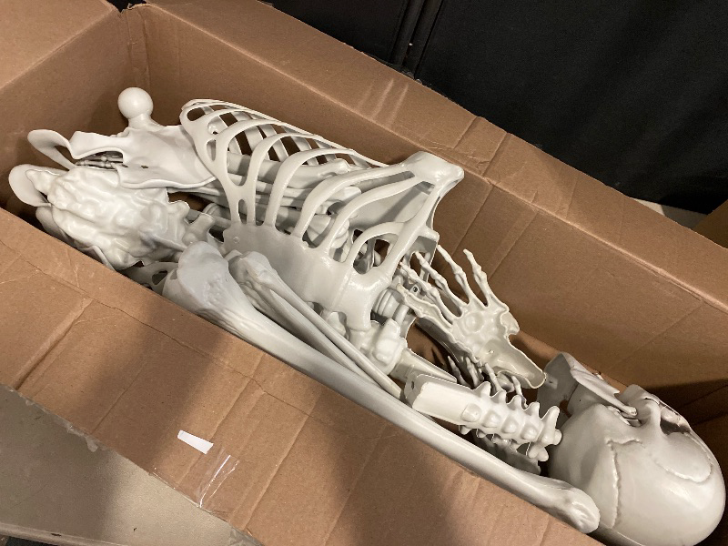 Photo 1 of 5.4FT Skeleton Halloween Decorations, Full Body Movable Posable Joints Halloween Skeleton Life Size, 170cm Pirate Styling Skeletons for Graveyard, Haunted House Props Indoor/Outdoor Decor (White)