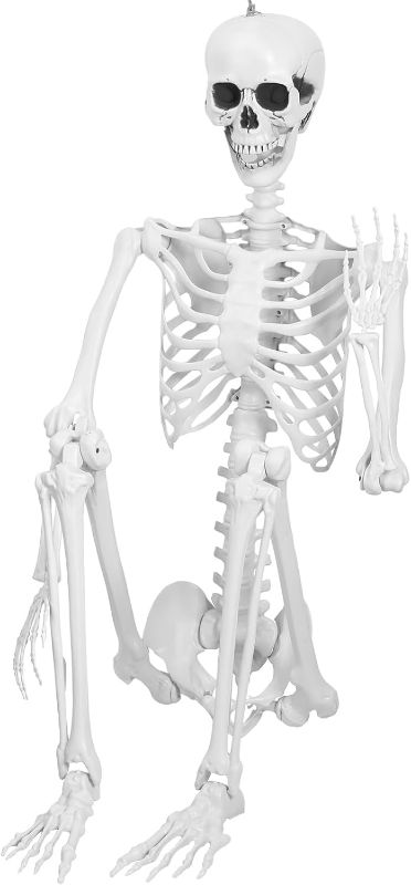 Photo 1 of 5.4FT Skeleton Halloween Decorations, Full Body Movable Posable Joints Halloween Skeleton Life Size, 170cm Pirate Styling Skeletons for Graveyard, Haunted House Props Indoor/Outdoor Decor (White)