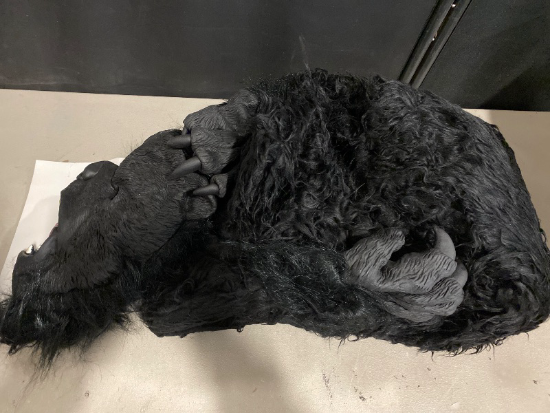 Photo 1 of (One Size Fits Most) Deluxe Grizzly Bear Costume