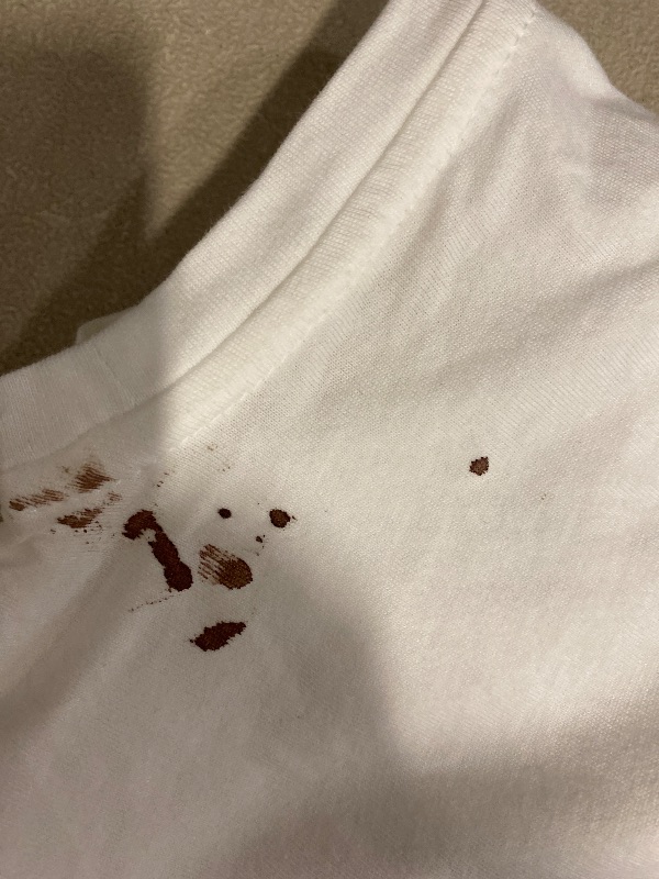 Photo 1 of M Women's Extended Short Sleeve T-Shirt - a New Day White 100% Cotton, Midweight Jersey, Crew Neck Pullover