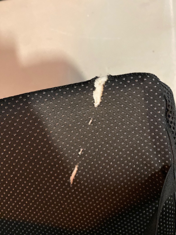 Photo 1 of Lumbar Support Pillow for Office Chair, Office Home Essentials,Stocking Stuffers,Back Support Pillow for Car, Chair Cushions,Back Pain Relief Improve Posture,Mesh Cover Double Adjustable Straps