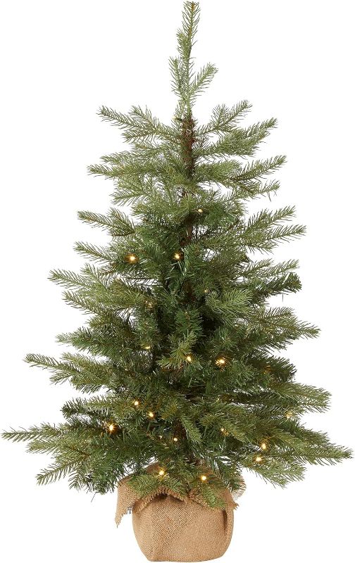 Photo 1 of National Tree Company 3 ft Pre-Lit Nordic Spruce Mini Artificial Christmas Tree, Burlap Base, Red Bow, 50 Clear LED Lights, 363 Tips, Timer, Green